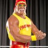 Hulk Hogan WWE Legend Paint By Numbers