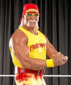 Hulk Hogan WWE Legend Paint By Numbers