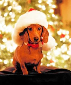 Christmas Dachshund Dogs Paint By Numbers