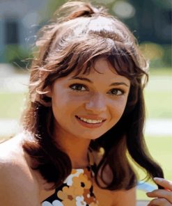 Karen Valentine Famous Actresses Paint By Numbers