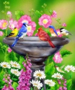 Birds Bath Serenity Paint By Numbers
