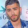 Zayn Malik Inspired Paint By Numbers